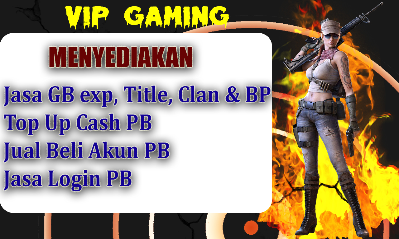 VIP GAMING